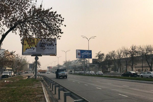 Даркнет каталог