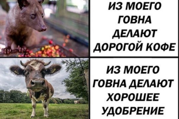 Кракен зеркала официальные